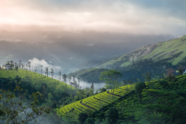 Munnar