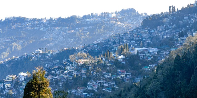 darjeeling-6314833_640