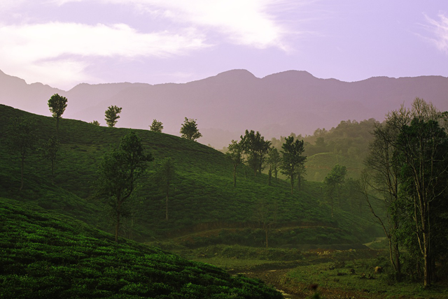 wayanad