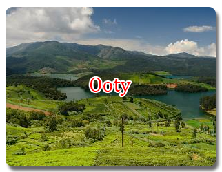 Ooty