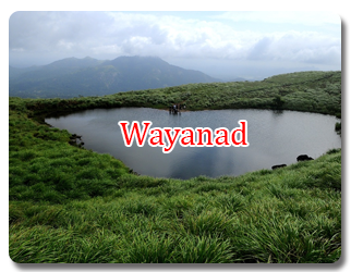 Wayanad